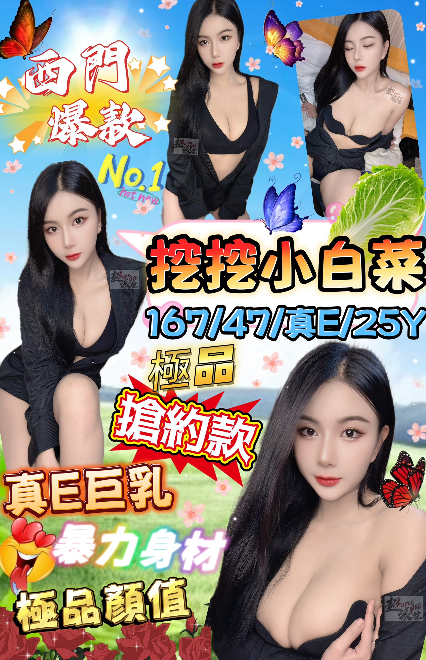 樓鳳 台東 薇洛 胸圍34G 身高169